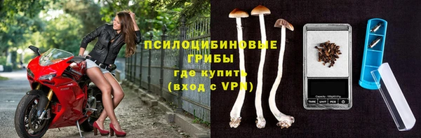 дмт Кинешма