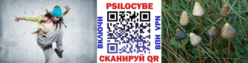 Псилоцибиновые грибы Psilocybe  Купить  Боровск 